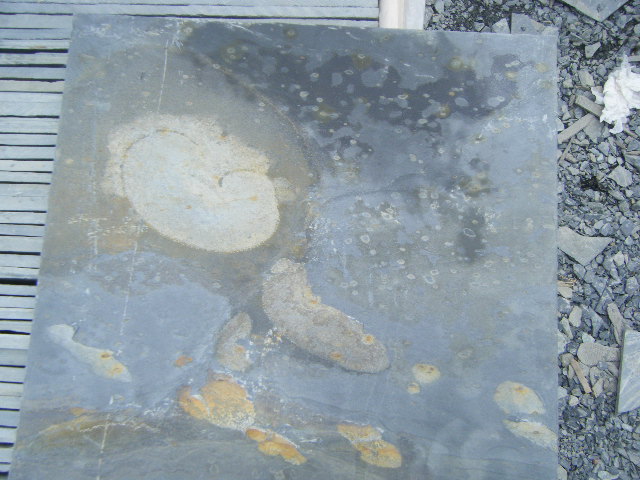 Slate Stone, Tiles, Wall Cladding, China.AL026